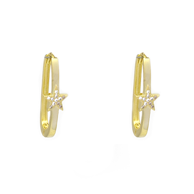 Gold Cubic Zirconia Star Hoop Earrings